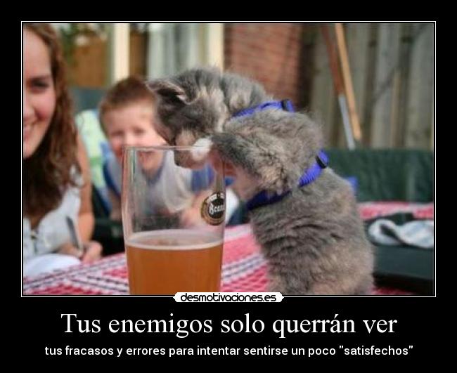 Tus enemigos solo querrán ver - tus fracasos y errores para intentar sentirse un poco satisfechos