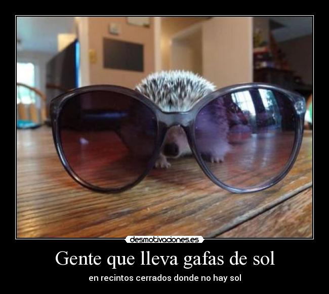 Gente que lleva gafas de sol -