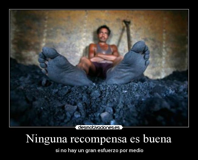 Ninguna recompensa es buena - 