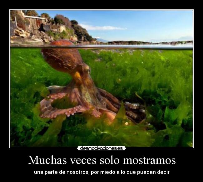 Muchas veces solo mostramos - 