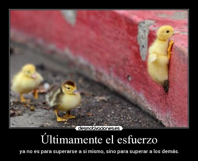 carteles youdeadht matisyahu dead tag yoo sooy caaanii desmotivaciones