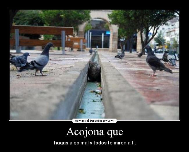 Acojona que - hagas algo mal y todos te miren a ti.