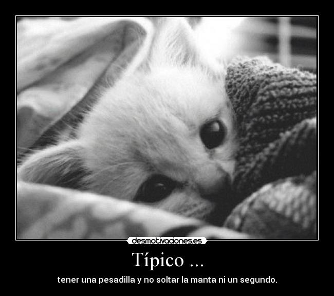 Típico ... - 
