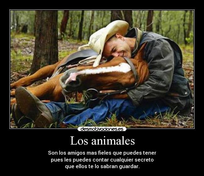 Los animales -