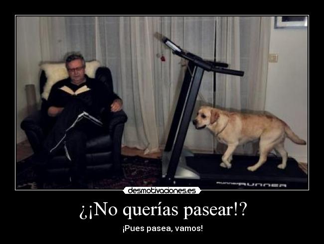¿¡No querías pasear!? - ¡Pues pasea, vamos!