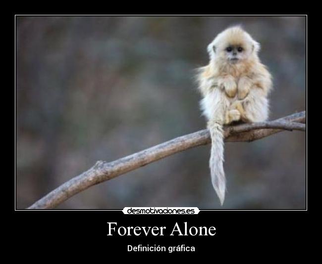 Forever Alone - Definición gráfica