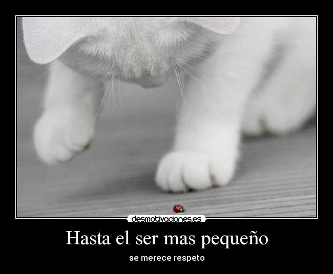 Hasta el ser mas pequeño - se merece respeto