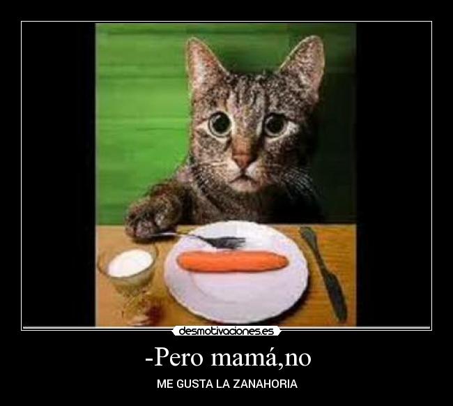 -Pero mamá,no - ME GUSTA LA ZANAHORIA