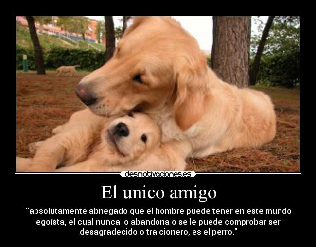 carteles unico desmotivaciones