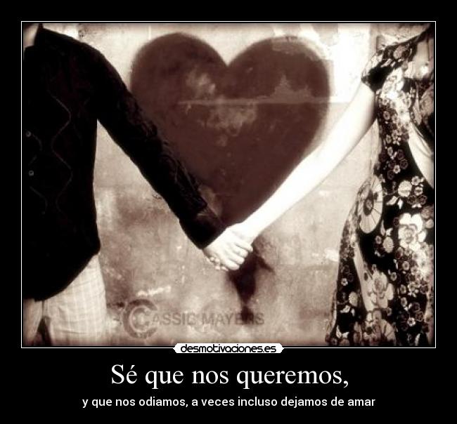 carteles se que nos queremos desmotivaciones