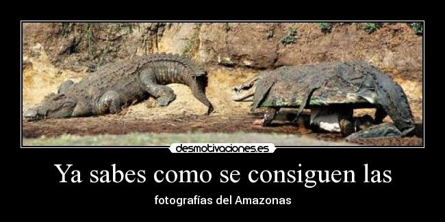 carteles eften desmotivaciones