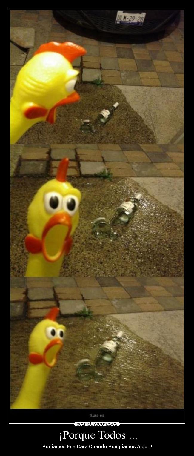 ¡Porque Todos ... - 