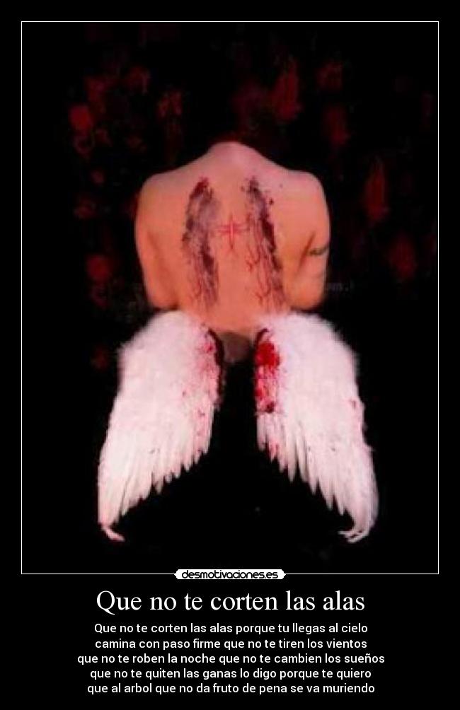 Que no te corten las alas -