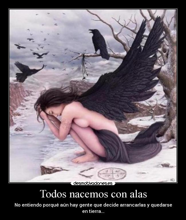 Todos nacemos con alas - 