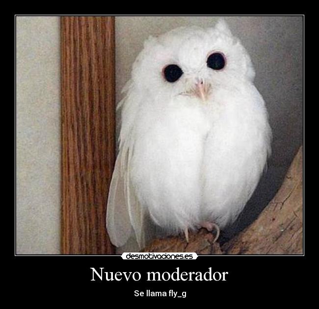 carteles vas comerme desmotivaciones