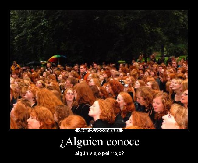 ¿Alguien conoce - 