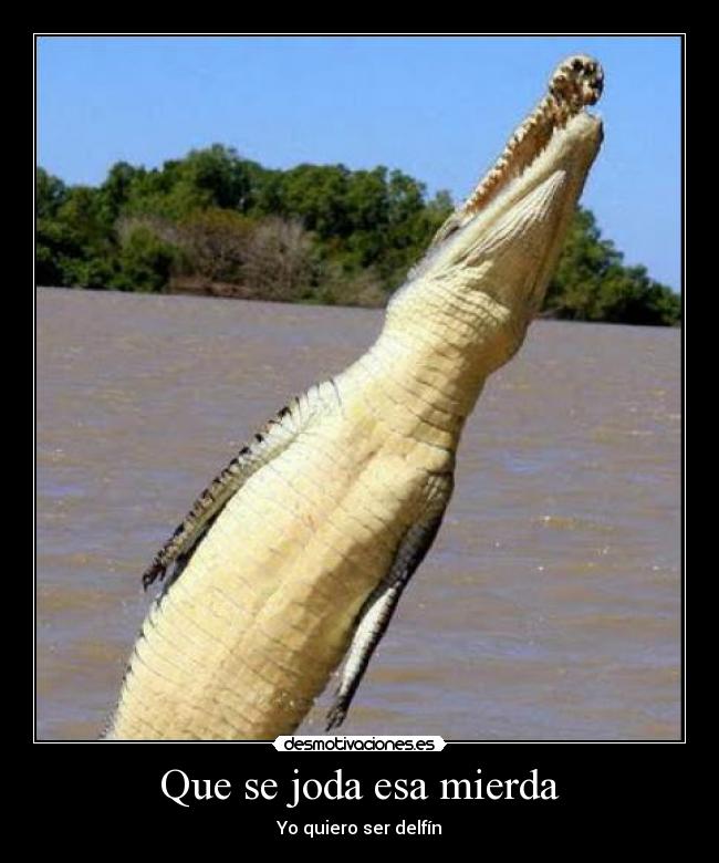 Que se joda esa mierda - Yo quiero ser delfín