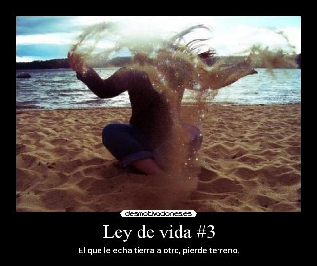 Ley de vida #3 - 