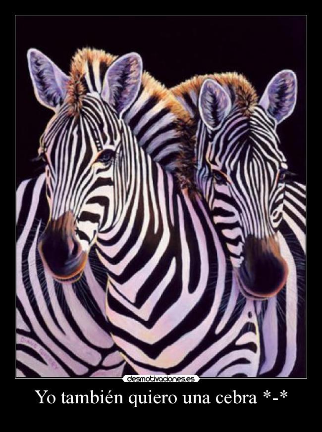 Yo también quiero una cebra *-* -
