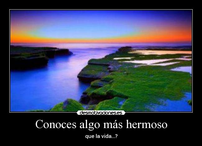 Conoces algo más hermoso -