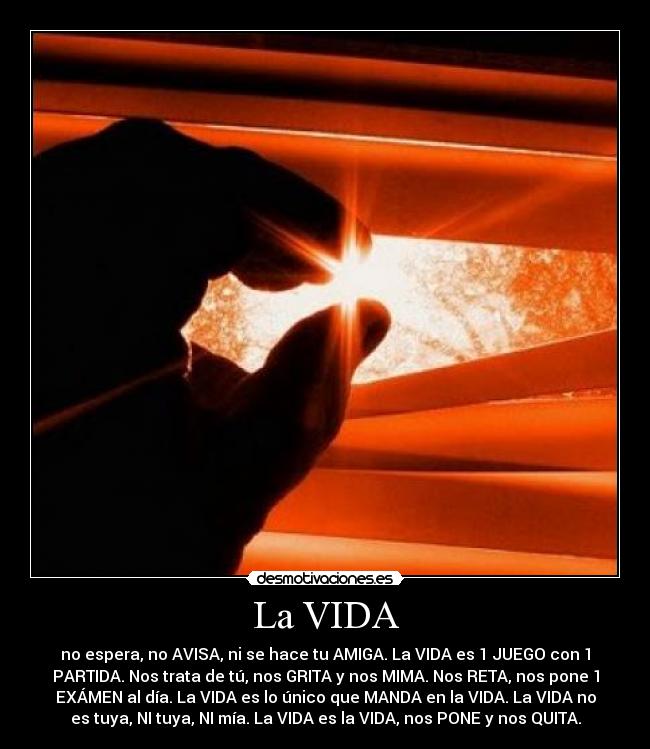 La VIDA -