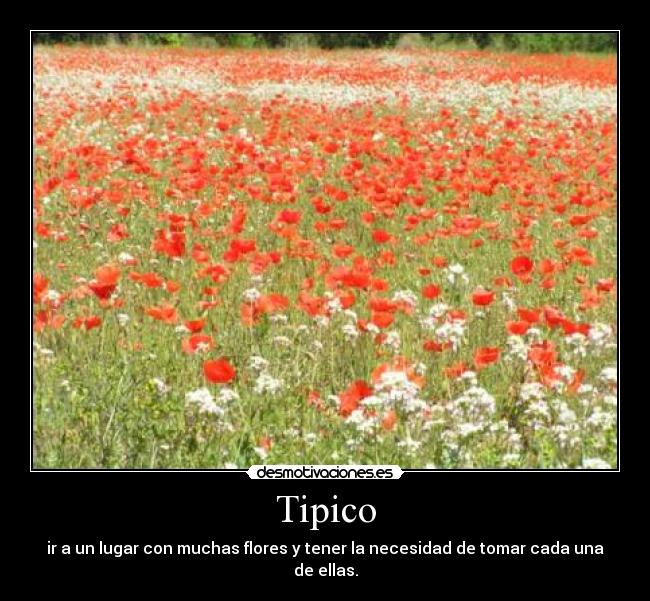 Tipico - ir a un lugar con muchas flores y tener la necesidad de tomar cada una de ellas.
