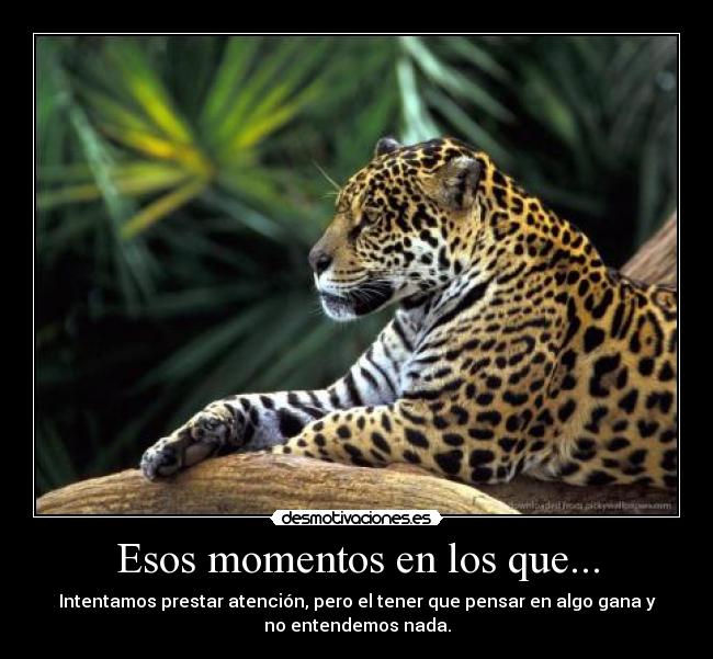 Esos momentos en los que... - Intentamos prestar atención, pero el tener que pensar en algo gana y
no entendemos nada.