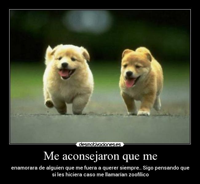 Me aconsejaron que me - 