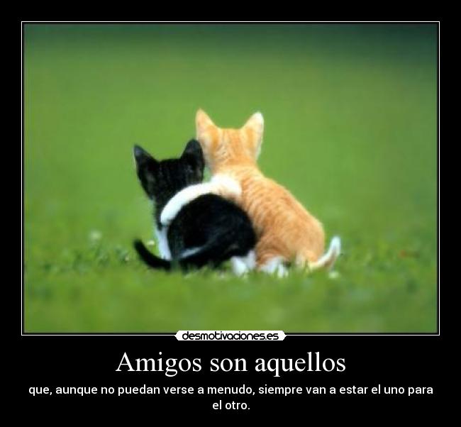 Amigos son aquellos -