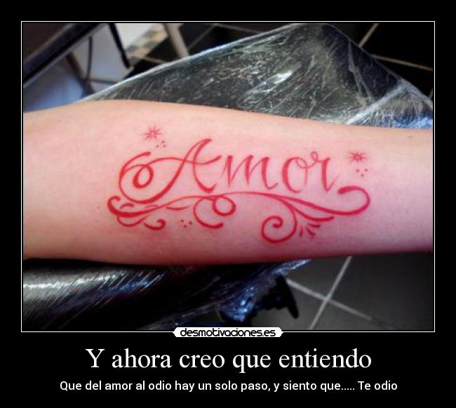 Y ahora creo que entiendo - 