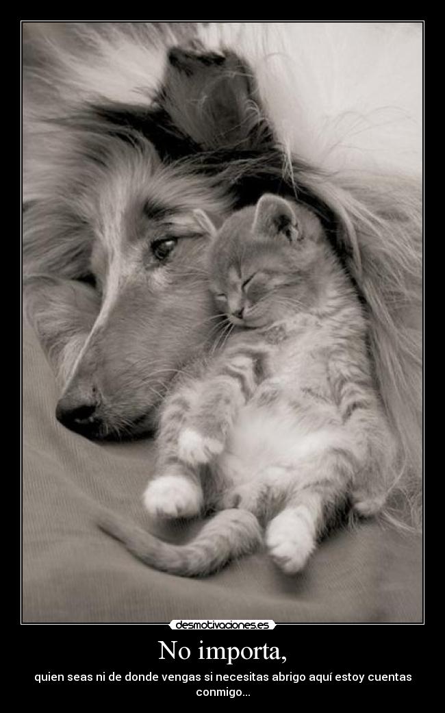 No importa, - quien seas ni de donde vengas si necesitas abrigo aquí estoy cuentas conmigo...