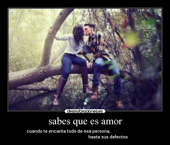sabes que es amor - 