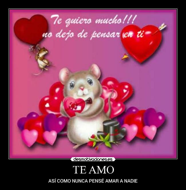 TE AMO - ASÍ COMO NUNCA PENSÉ AMAR A NADIE