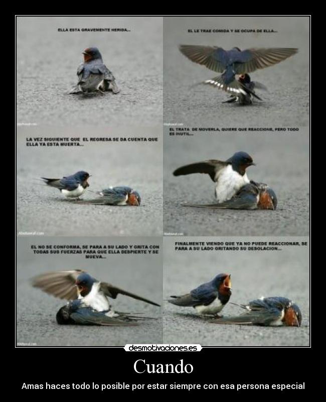 Cuando - Amas haces todo lo posible por estar siempre con esa persona especial