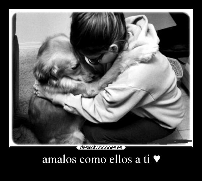 amalos como ellos a ti ♥ - 
