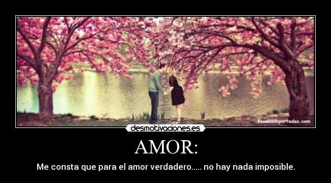 AMOR: -