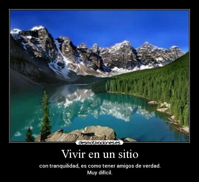 carteles campo bonito amigos desmotivaciones