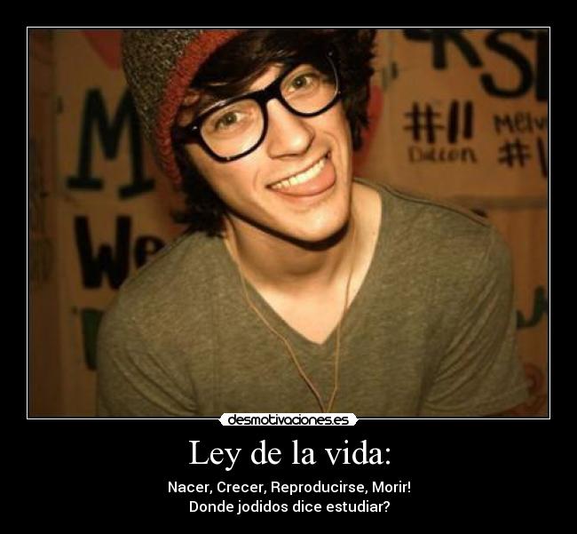 Ley de la vida: - Nacer, Crecer, Reproducirse, Morir!
Donde jodidos dice estudiar?