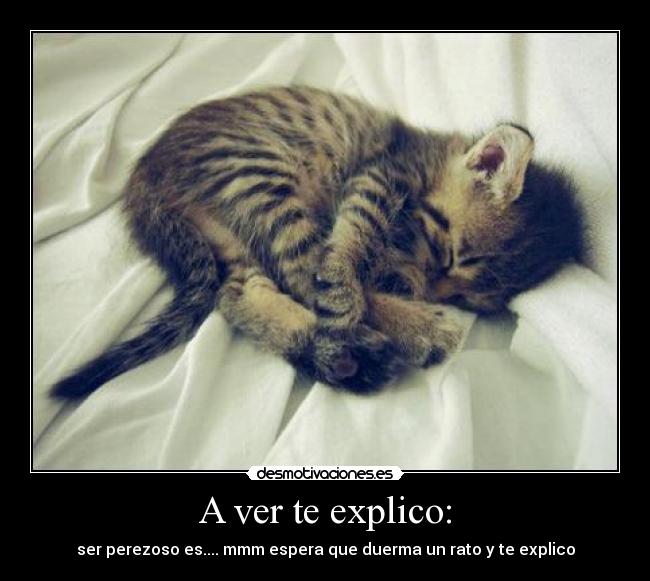 A ver te explico: - ser perezoso es.... mmm espera que duerma un rato y te explico