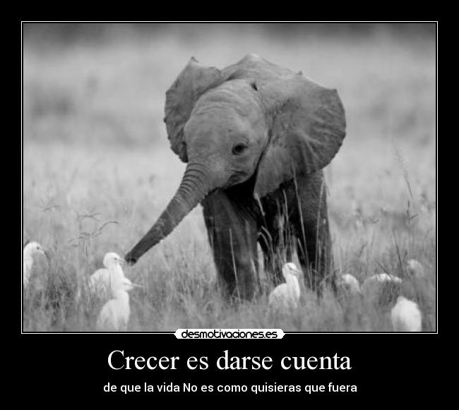 Crecer es darse cuenta -