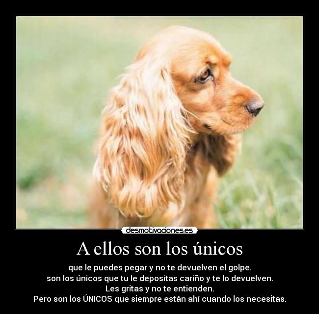 A ellos son los únicos - que le puedes pegar y no te devuelven el golpe.
son los únicos que tu le depositas cariño y te lo devuelven.
Les gritas y no te entienden.
Pero son los ÚNICOS que siempre están ahí cuando los necesitas.