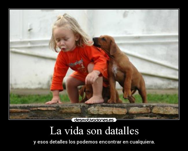 La vida son datalles -