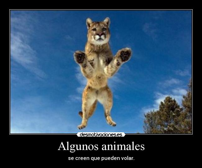 Algunos animales - se creen que pueden volar.