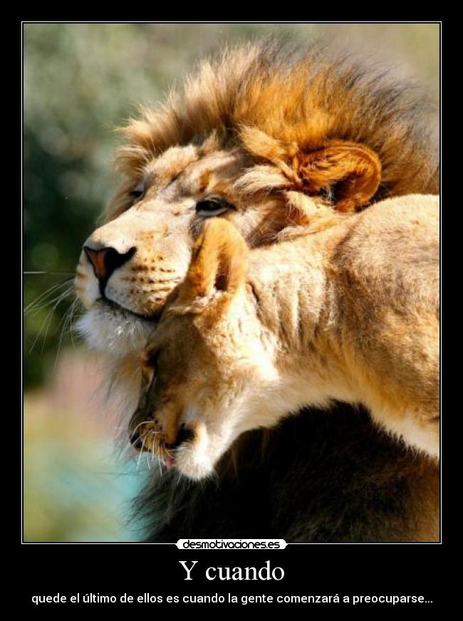 Y cuando - quede el último de ellos es cuando la gente comenzará a preocuparse...