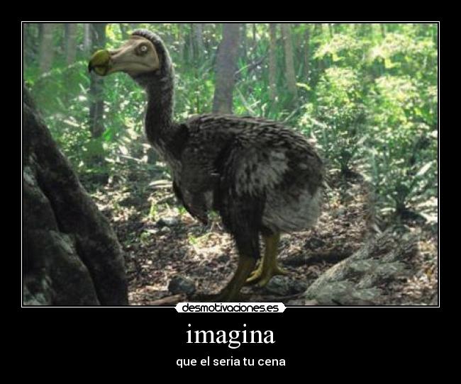 imagina - que el seria tu cena