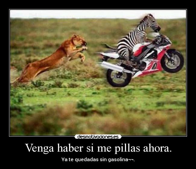 Venga haber si me pillas ahora. - 