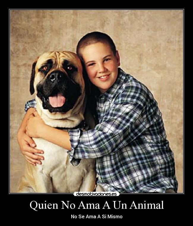Quien No Ama A Un Animal - No Se Ama A Si Mismo