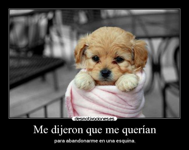 carteles true desmotivaciones