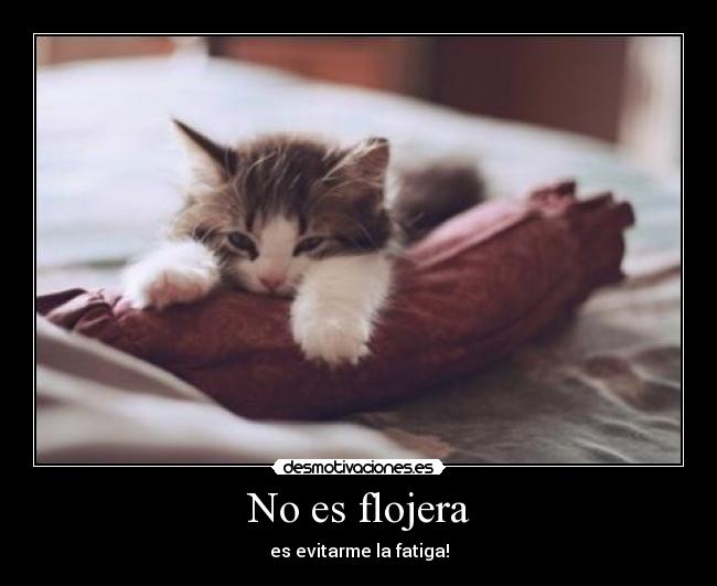 No es flojera - es evitarme la fatiga!