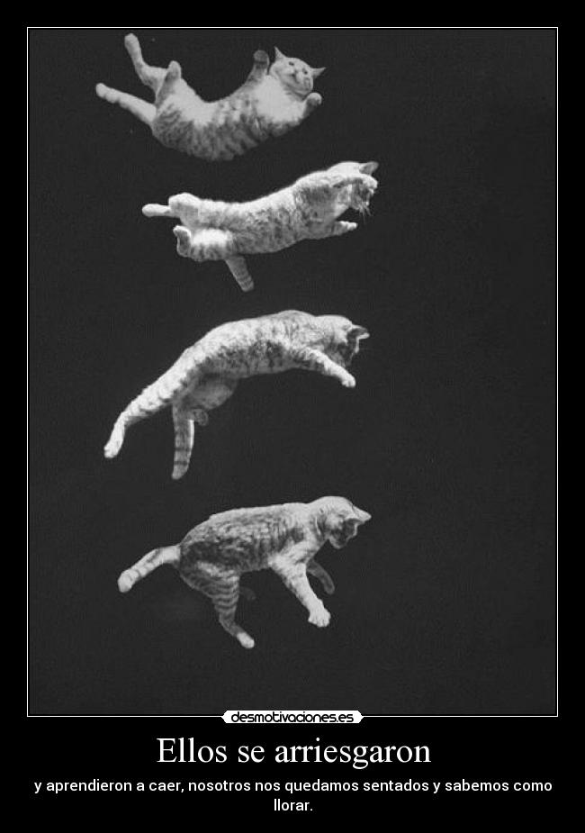 Ellos se arriesgaron - 